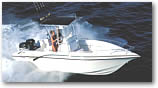 Sport & Fish Cruisers